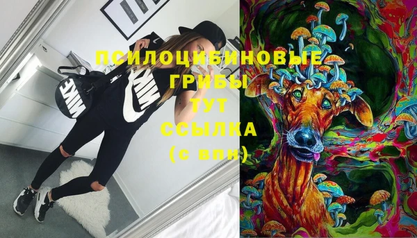 spice Нея