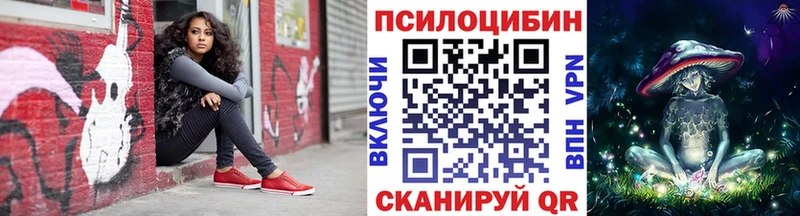Купить закладки  Котельнич  Псилоцибиновые грибы GOLDEN TEACHER 
