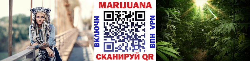 Купить  Котельнич  Бошки марихуана ГИДРОПОН 